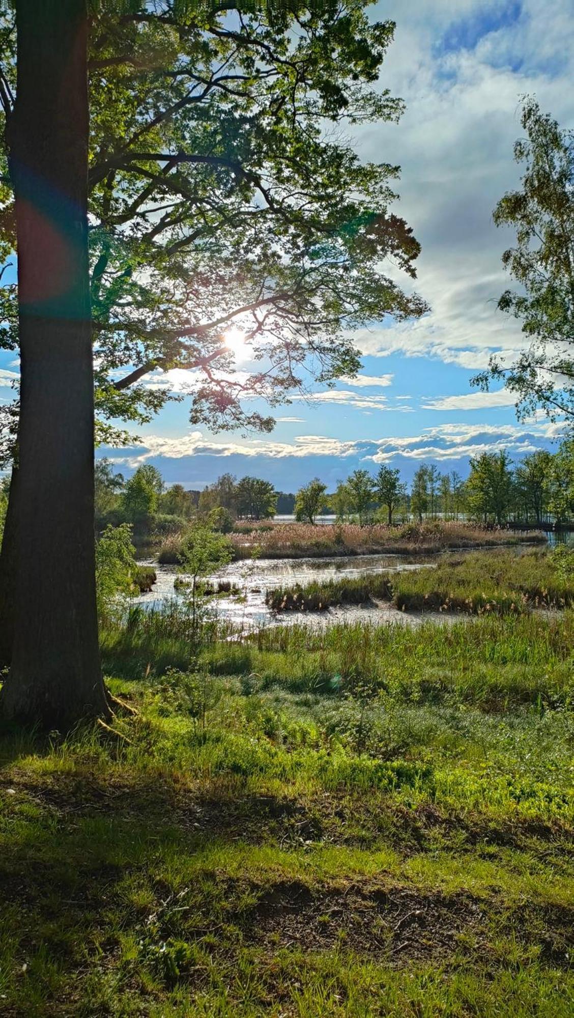 Rekreacni Chata Val Veselí nad Lužnicí Exteriér fotografie